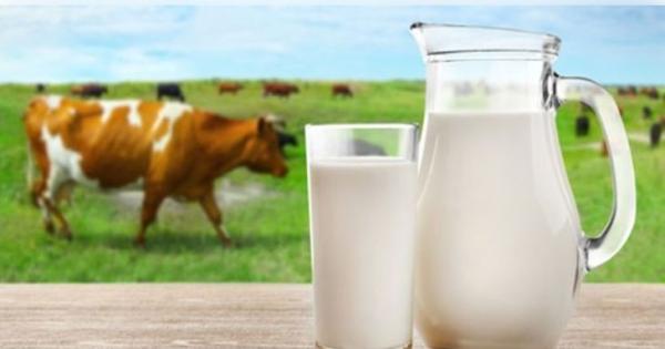 ସାବଧାନ ! ଓଡ଼ିଶା ବଜାରରେ ବିକ୍ରି ହେଉଛି ନିମ୍ନମାନର କ୍ଷୀର