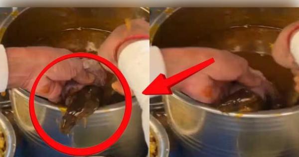 ଗୁପଚୁପ୍ ପ୍ରେମୀ ସାବଧାନ! ମସଲା ପାଣିରୁ ବାହାରିଲା ଜୀବନ୍ତ ମୂଷା, ଭିଡିଓ ଦେଖିଲେ ଉଡ଼ିଯିବ ହୋସ୍