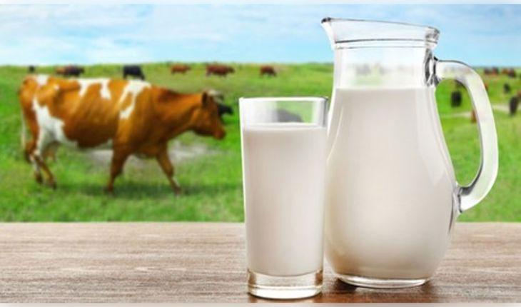 ସାବଧାନ ! ଓଡ଼ିଶା ବଜାରରେ ବିକ୍ରି ହେଉଛି ନିମ୍ନମାନର କ୍ଷୀର