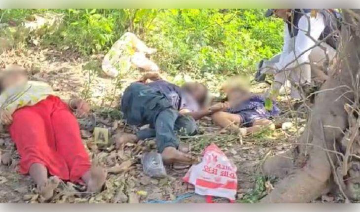 ବୁଲନ୍ଦସହରରେ ଚାଞ୍ଚଲ୍ୟ: ଜଙ୍ଗଲରୁ ମିଳିଲା ଦିଅର, ଭାଉଜ ଓ ୪ ବର୍ଷର କୁନି ଝିଅର ମୃତଦେହ, ପ୍ରେମ ସମ୍ପର୍କକୁ ନେଇ ସନ୍ଦେହ